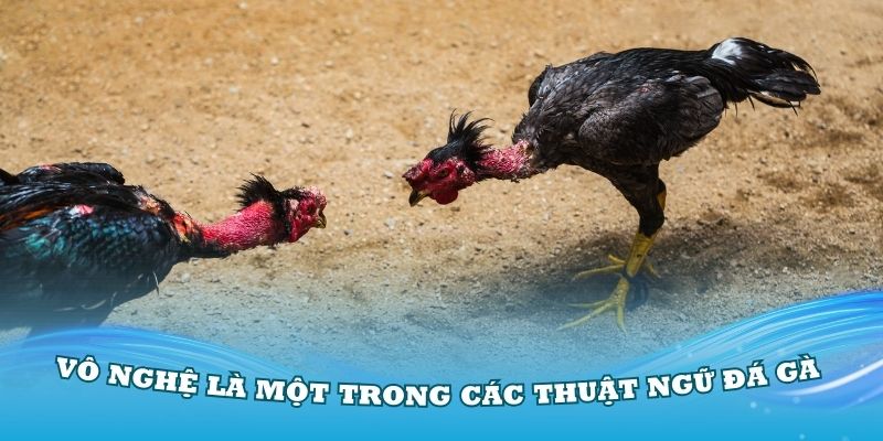 Vô nghệ là một trong các thuật ngữ đá gà thông dụng